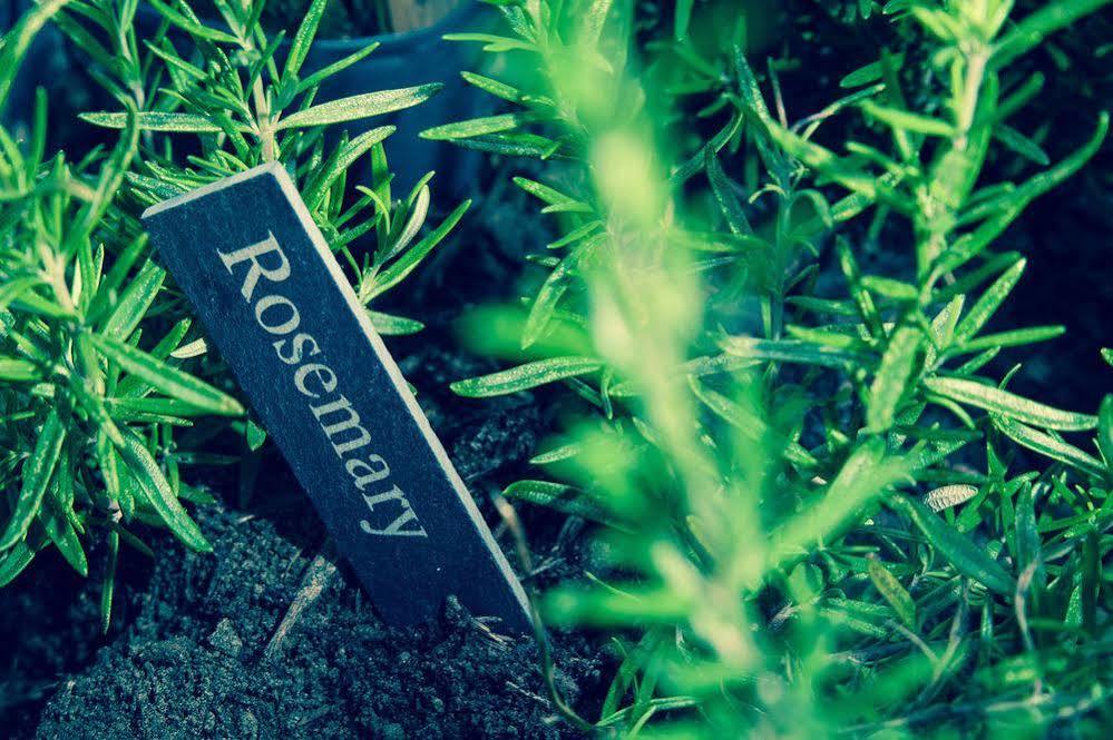 Room2 London Hammersmith Townhouse Экстерьер фото